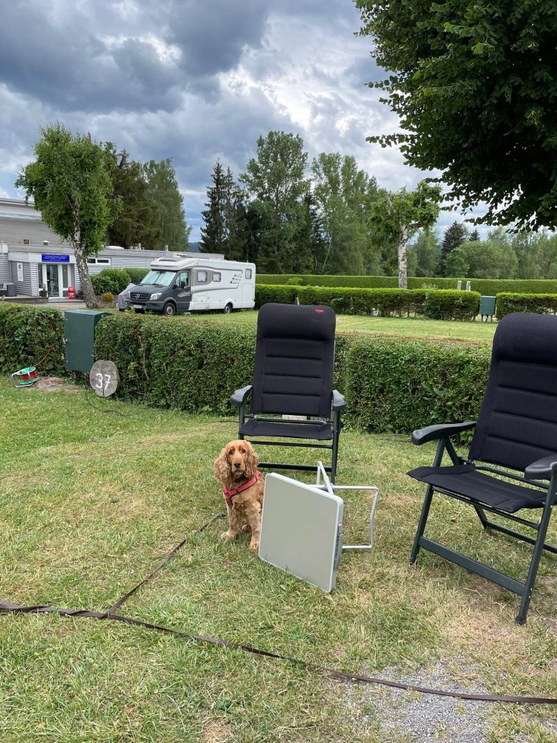 International Camping Schwarzwald