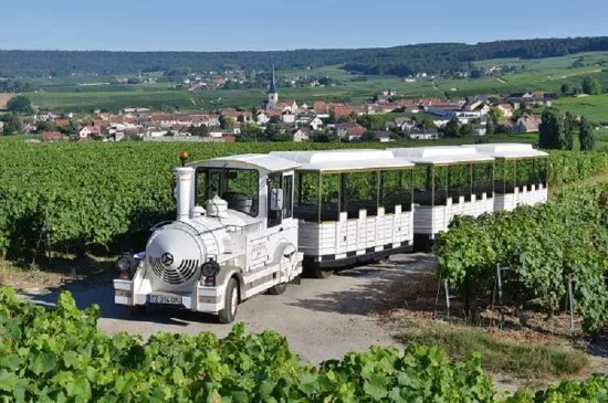 Caveau Champagne Lallement