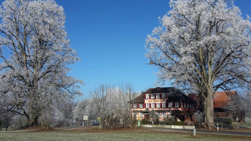 Speise-Restaurant Zum Lindenhof Zuzwil