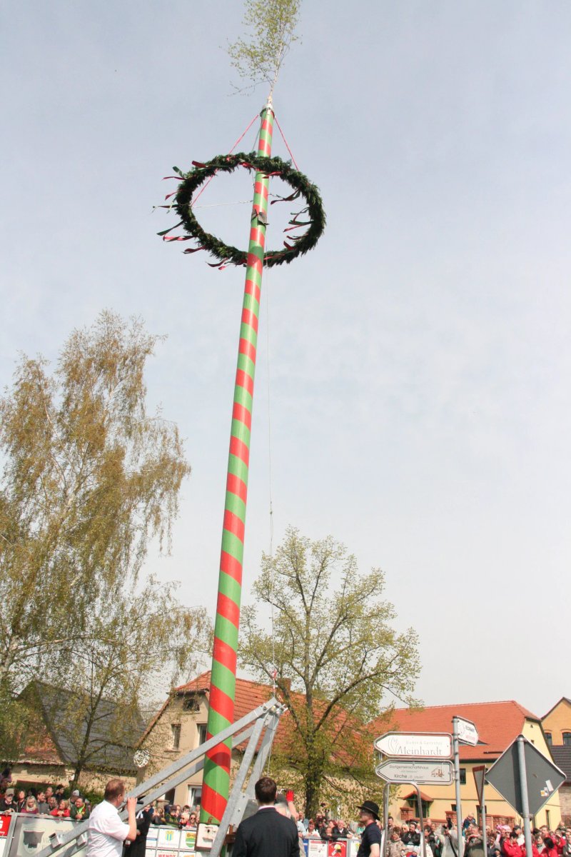 Maibaum Niemberg