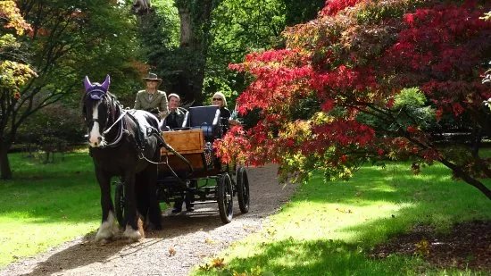 Ascot Carriages