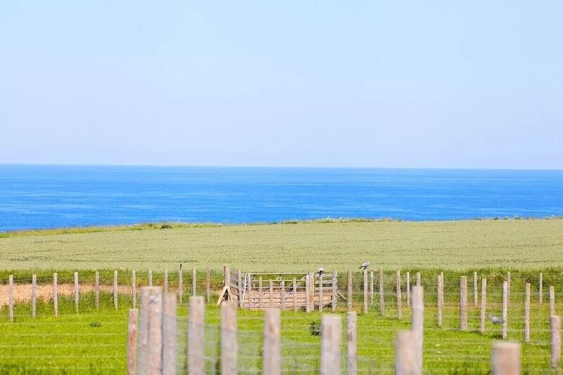 The Annex, stunning Abbey Views across the fields.