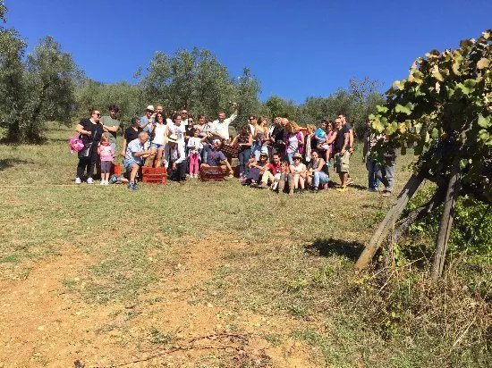 De Gustibus Wine & Food Tours