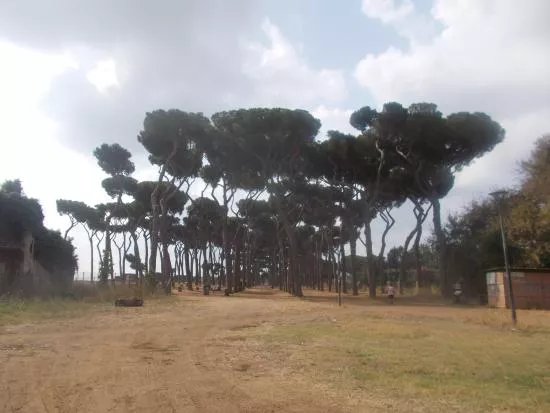 Parco Regionale Urbano Pineto