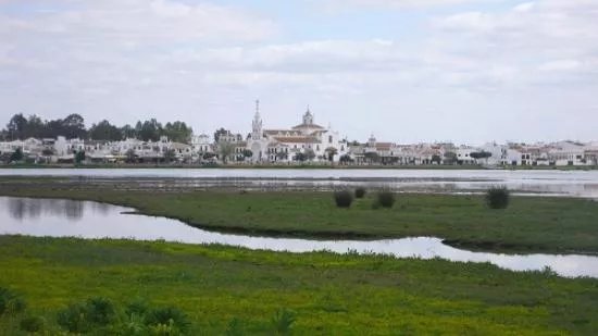 Marisma