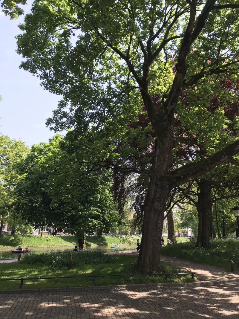 Zocherpark