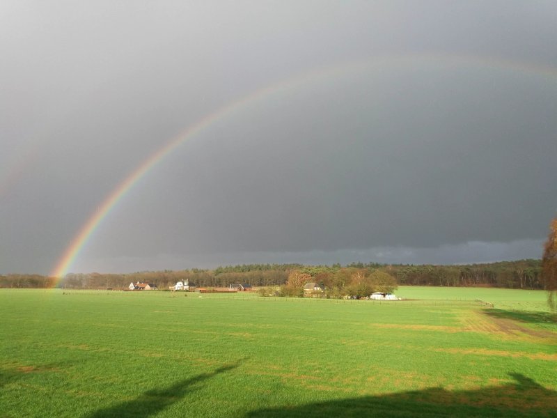 Bed and Breakfast Bergh en Bos