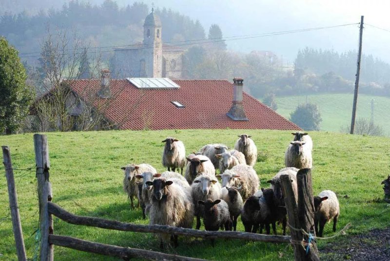 Agroturismo Uxarte