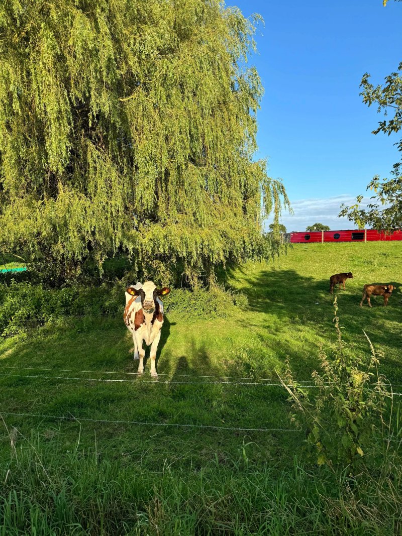 Higher Elms Farm (caravan Site)