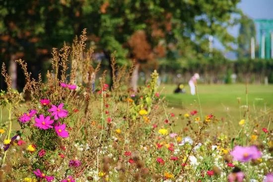 Golf de Maisons-Laffitte