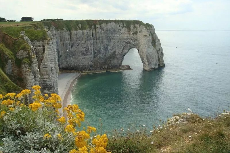 Near Etretat and Fécamp: charming character house on the edge of the wood