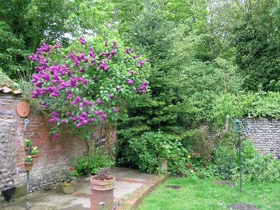 Grange Cottage Bed & Breakfast
