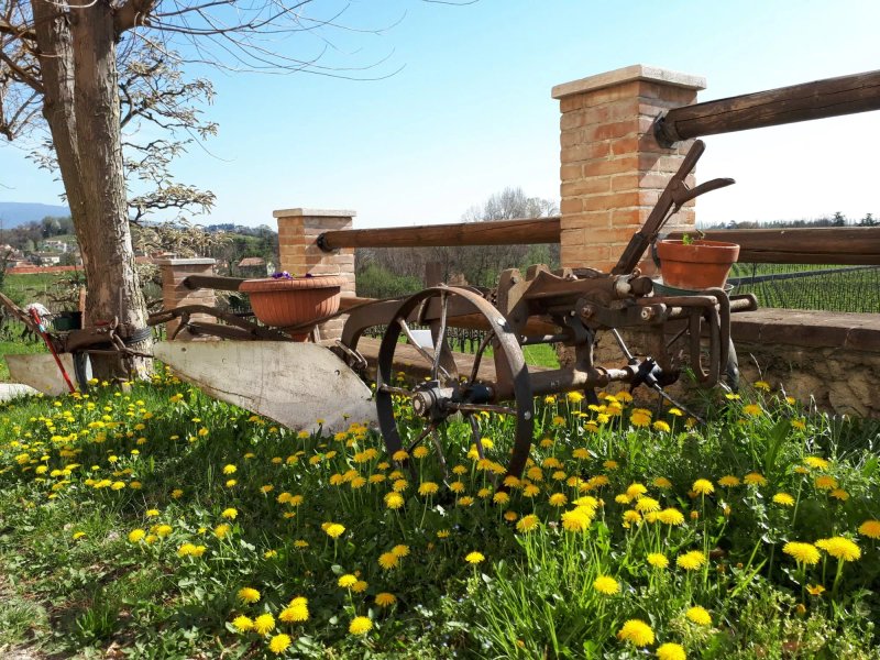 B&B Terre Boscaratto