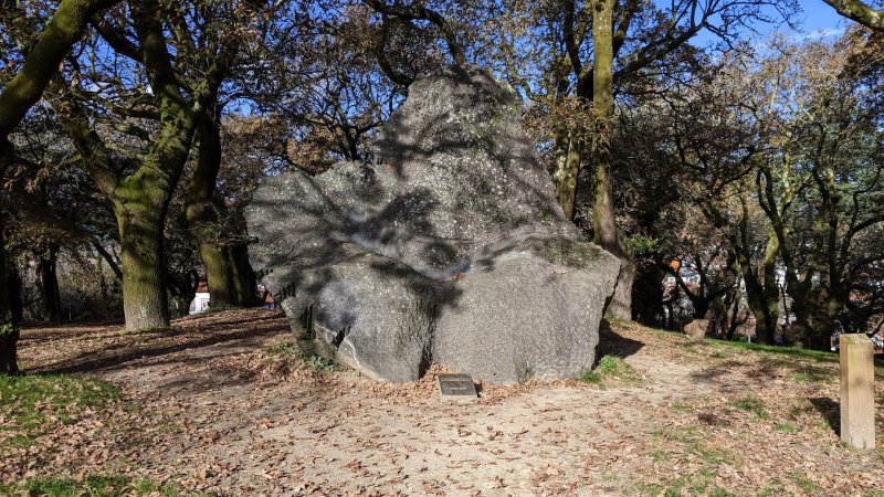 Estatua De Castelao