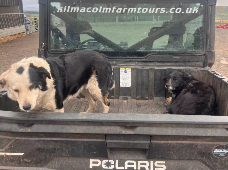 Kilmacolm Farm Tours