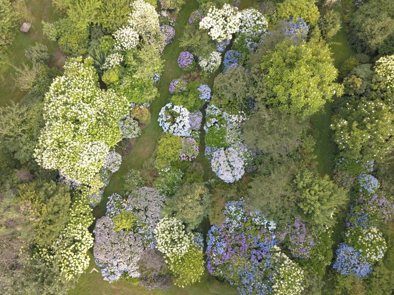 Jardin Au Bout De La Lande
