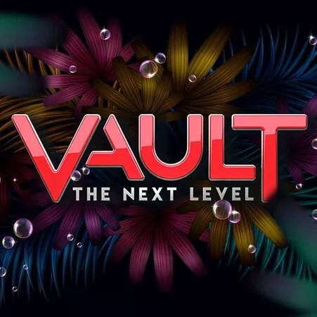 Vault - The Next Level