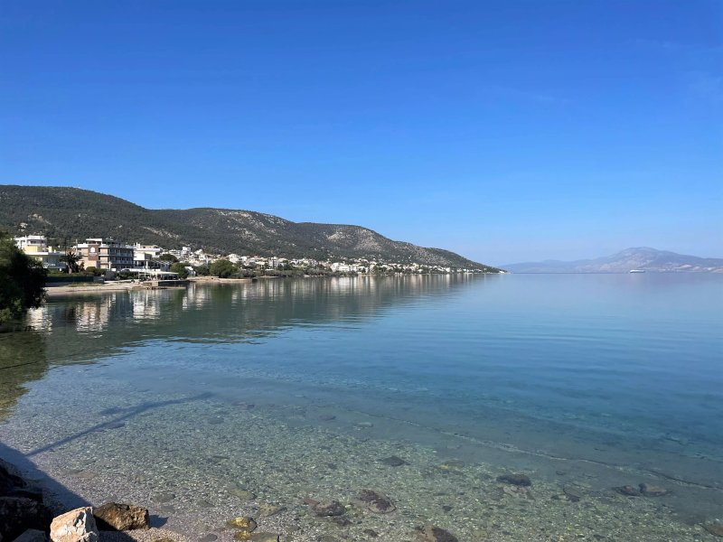 Salamina Houses