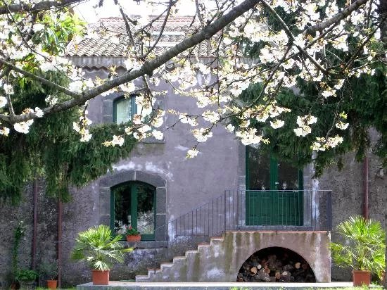 Farm Borgo San Vincenzo