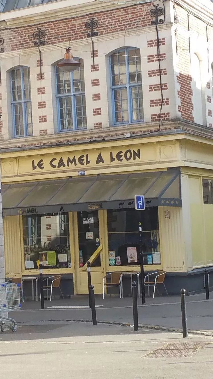 Camel A Leon