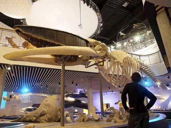 Naturama