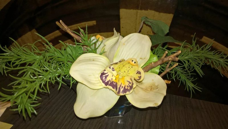 Restaurant De Nieuwe Pauw