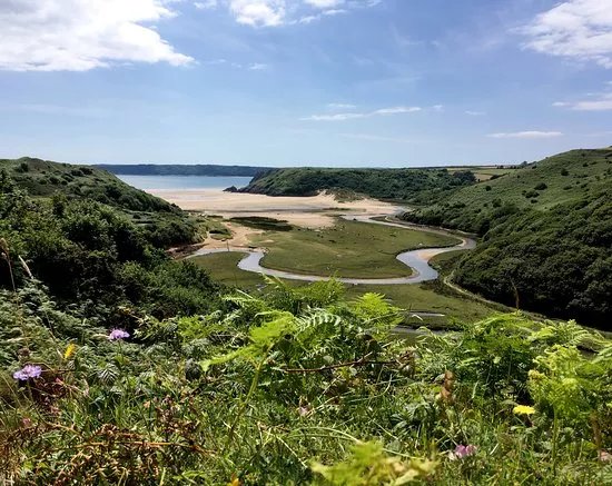 Gower Tours