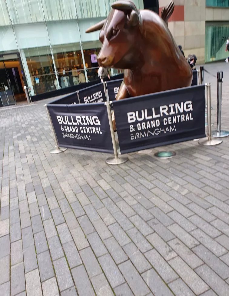 The Bull by Laurence Broderick