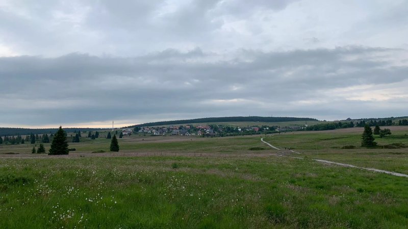 Bozi Dar Peat Bog Trail