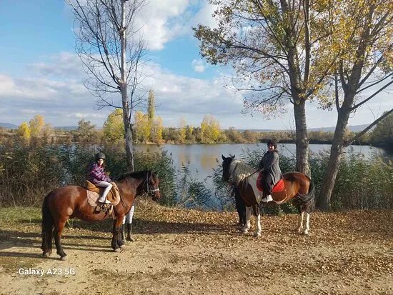Friesian Land Horse Riding