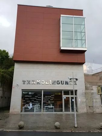 Txakolingunea