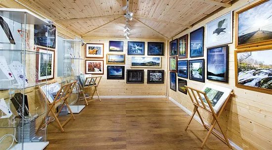 Gallery Sia Tri