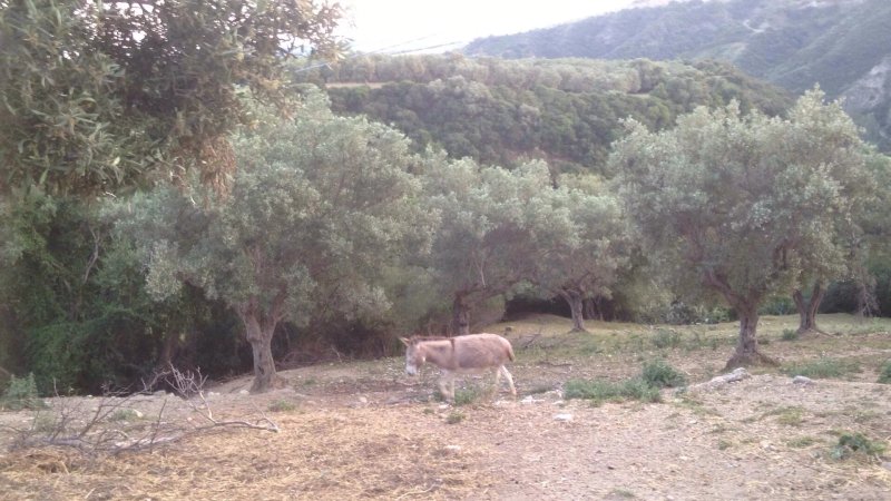 Agriturismo Castellaci