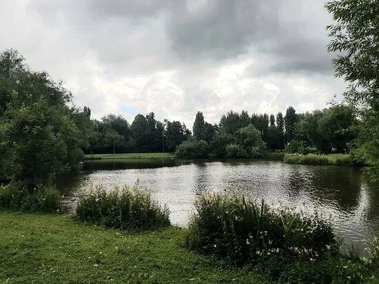 Kirk Hallam Lake & Meadow