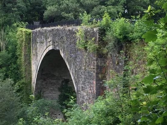 Causey Arch