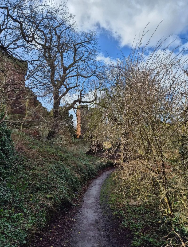 Bonewaldersthorne's Tower