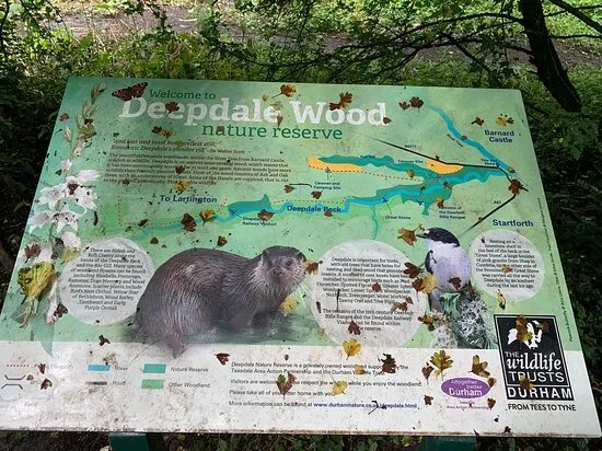 Deepdale Nature Reserve
