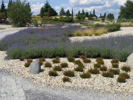 Lausitzer Findlingspark Nochten