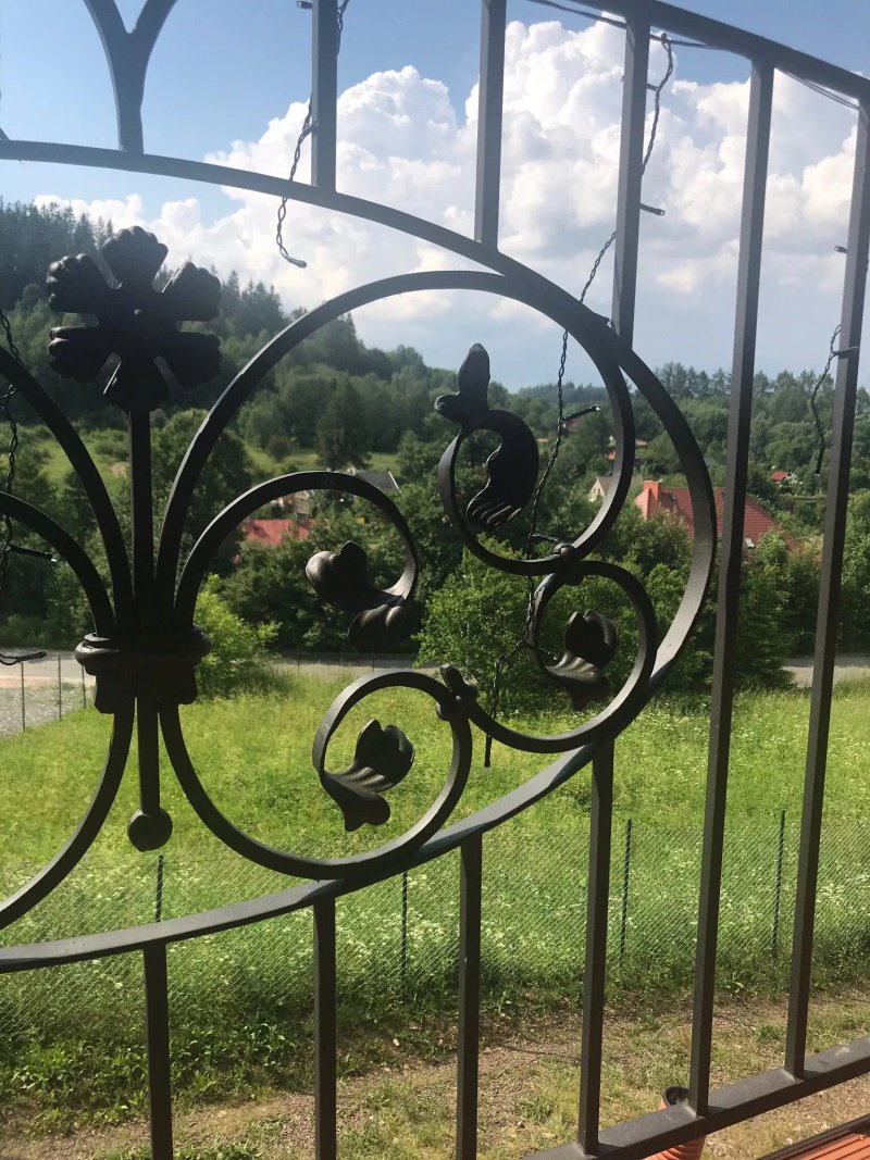 Zlote Modrzewie