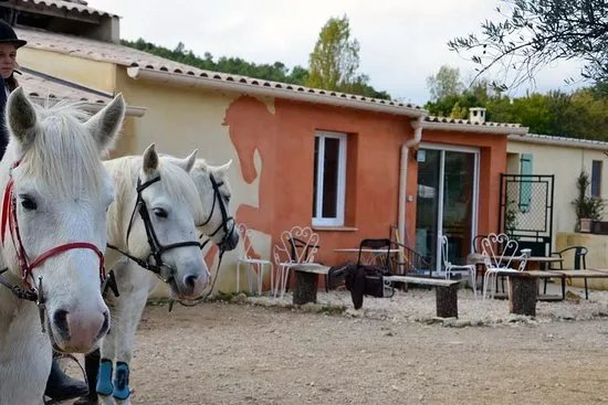 Domaine equestre de Maruejols