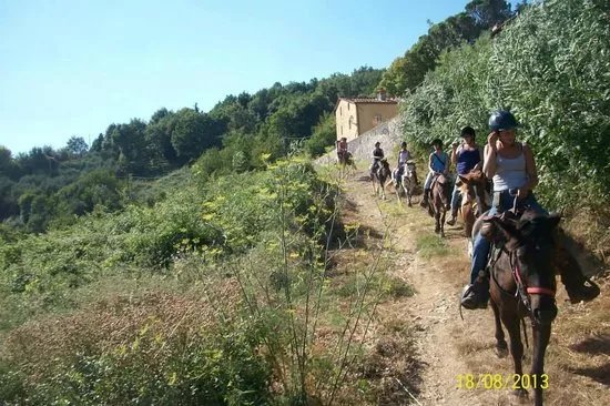 Lucca Horseriding