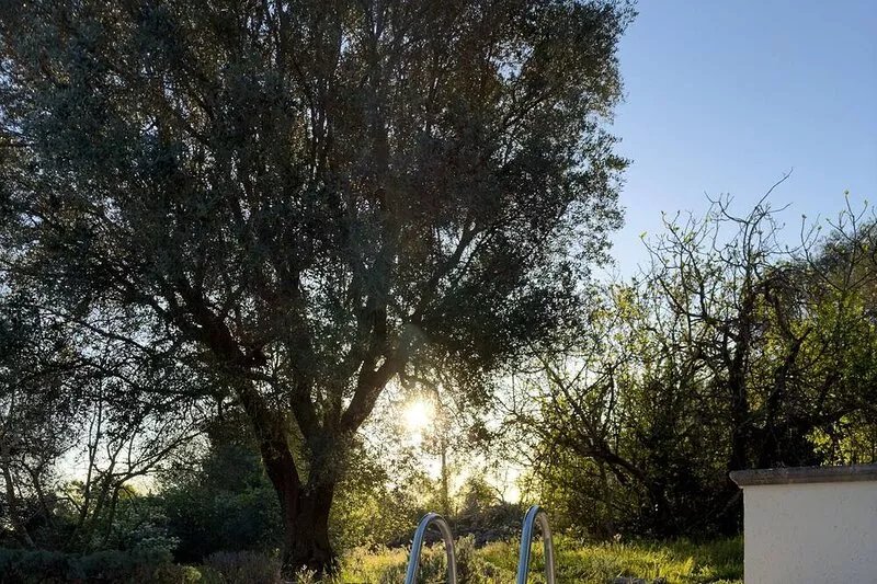 A Trullo With Private 10m Pool Near Ceglie Messapica