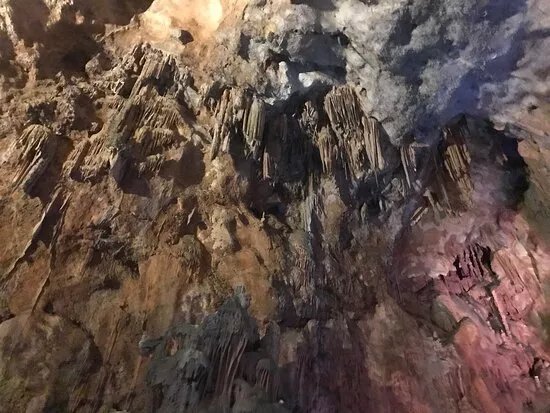 Cueva Del Canelobre