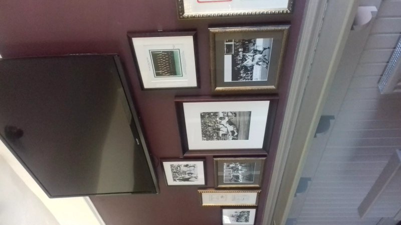 The Owls Nest