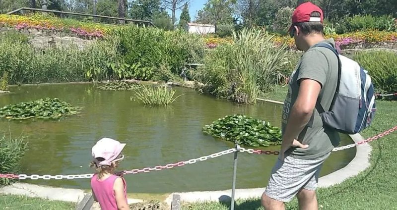 Jardin de l'Ile Verte - Pierre Fernez