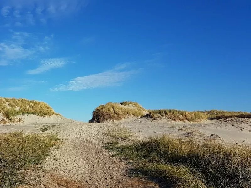 Alpaca apartment Ameland