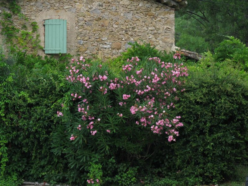 Domaine de Domanne