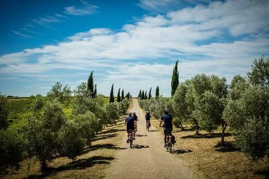 REVE DE VELO Tours