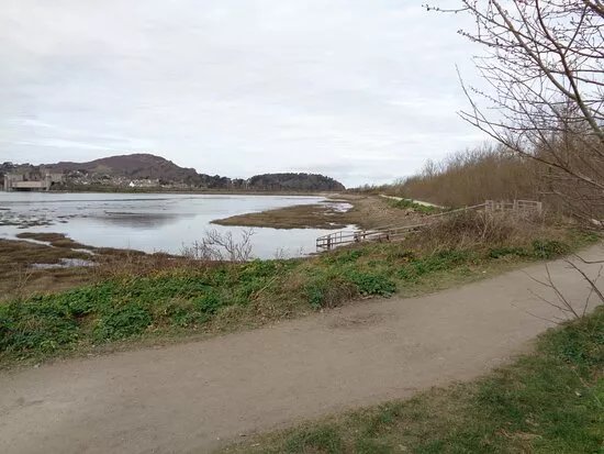 Llwybr Moryd Conwy Estuary Trail