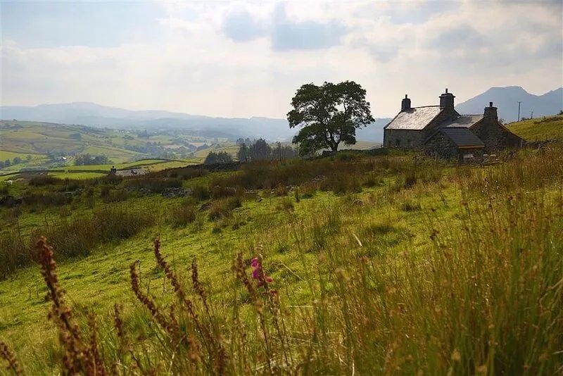 Remote, family, pet friendly, stunning views, log burner, walks from the door.